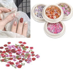 Mixed-Color Dried Flowers for Nail Art – Natural Ultra-Thin Resin Craft Decor